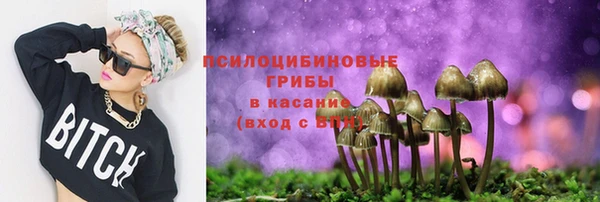 прущая мука Алексин