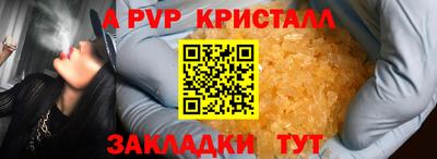 СК Кингисепп