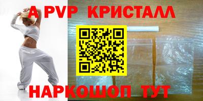 СК Кингисепп