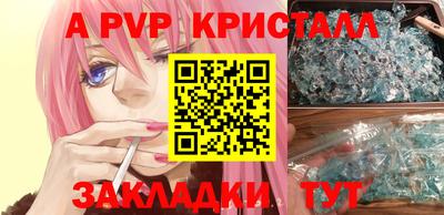 СК Кингисепп