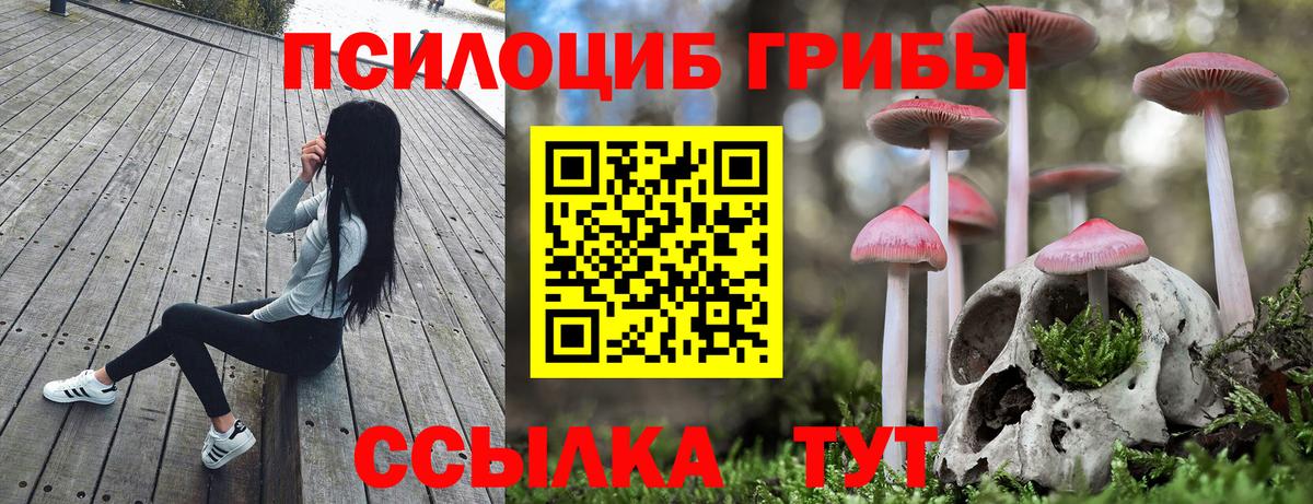 Галлюциногенные грибы Cubensis  Вход с VPN  Красноярск 