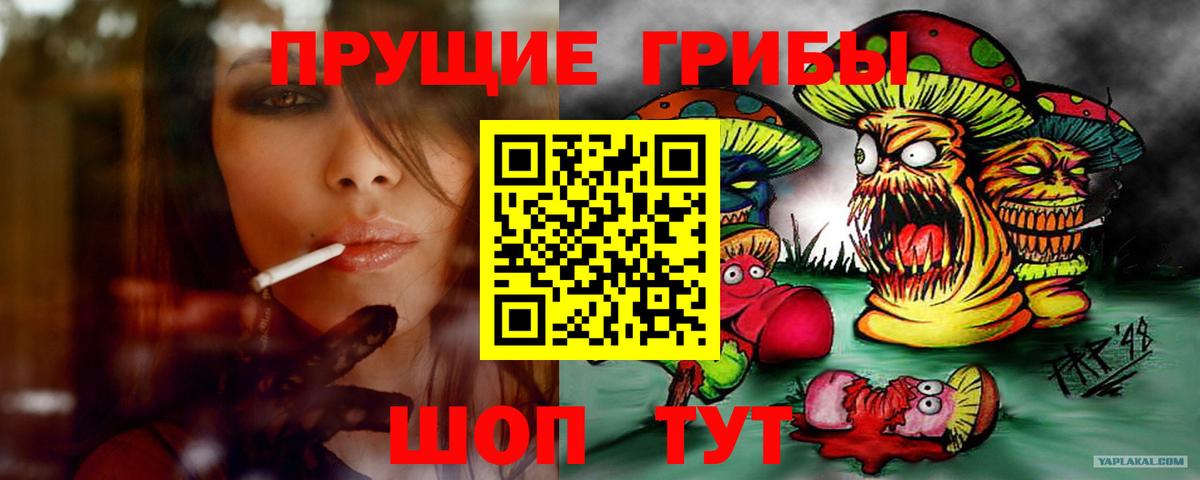 Псилоцибиновые грибы Psilocybine cubensis Красноярск